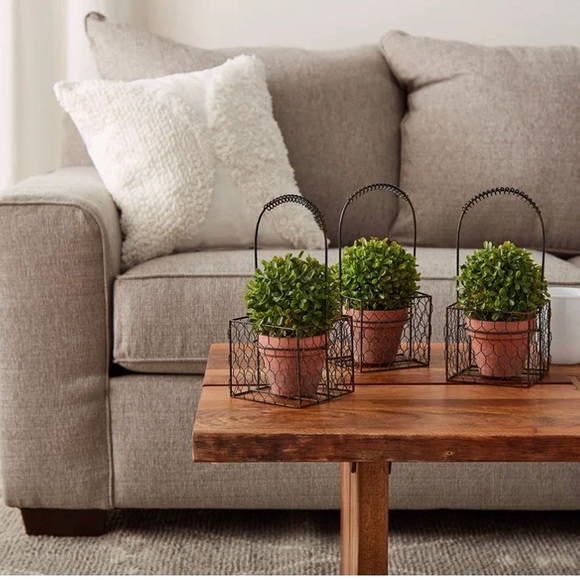 Faux Boxwood Topiary in Pot (Set of 3) - Picture 1 of 5